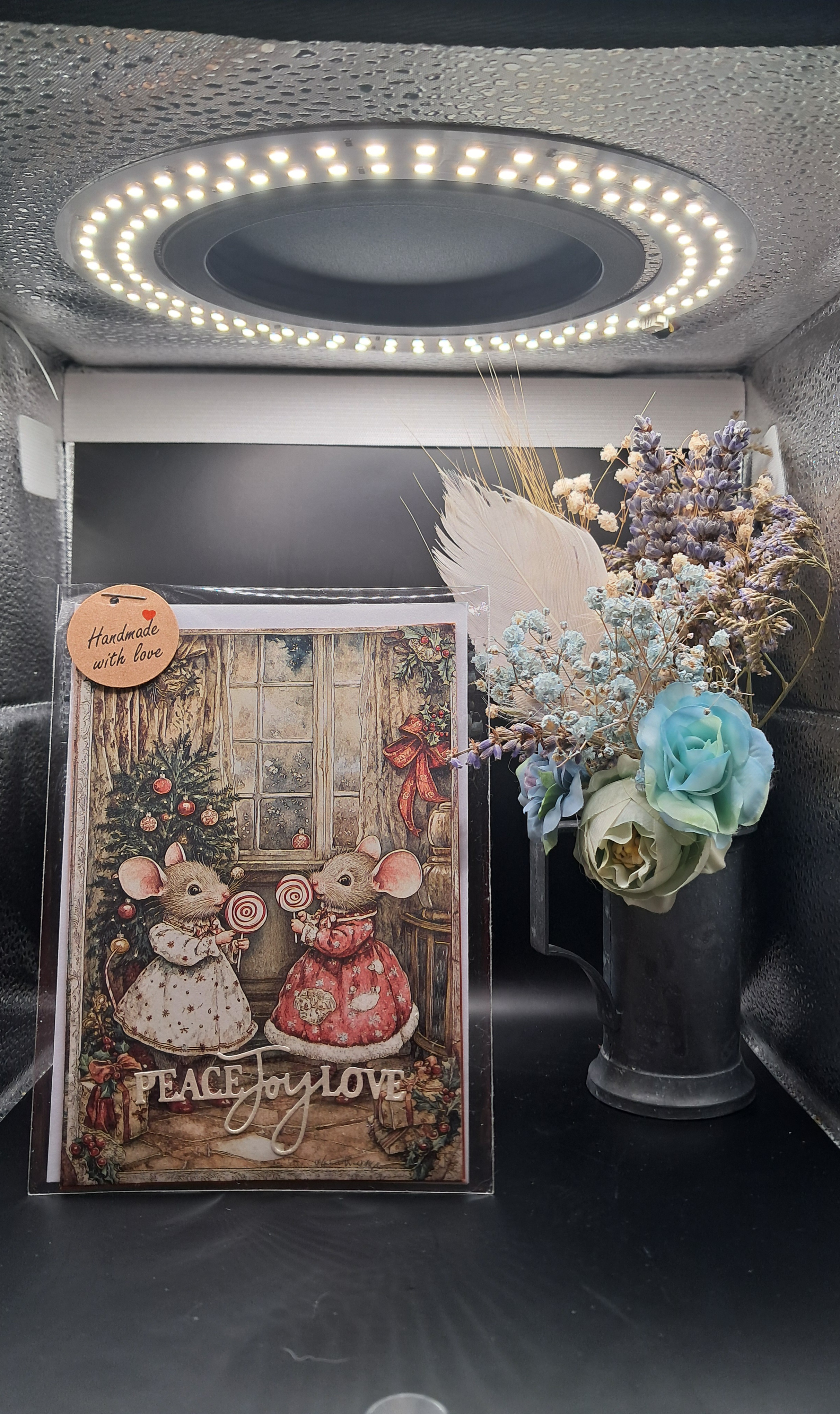 Souricettes et sucettes