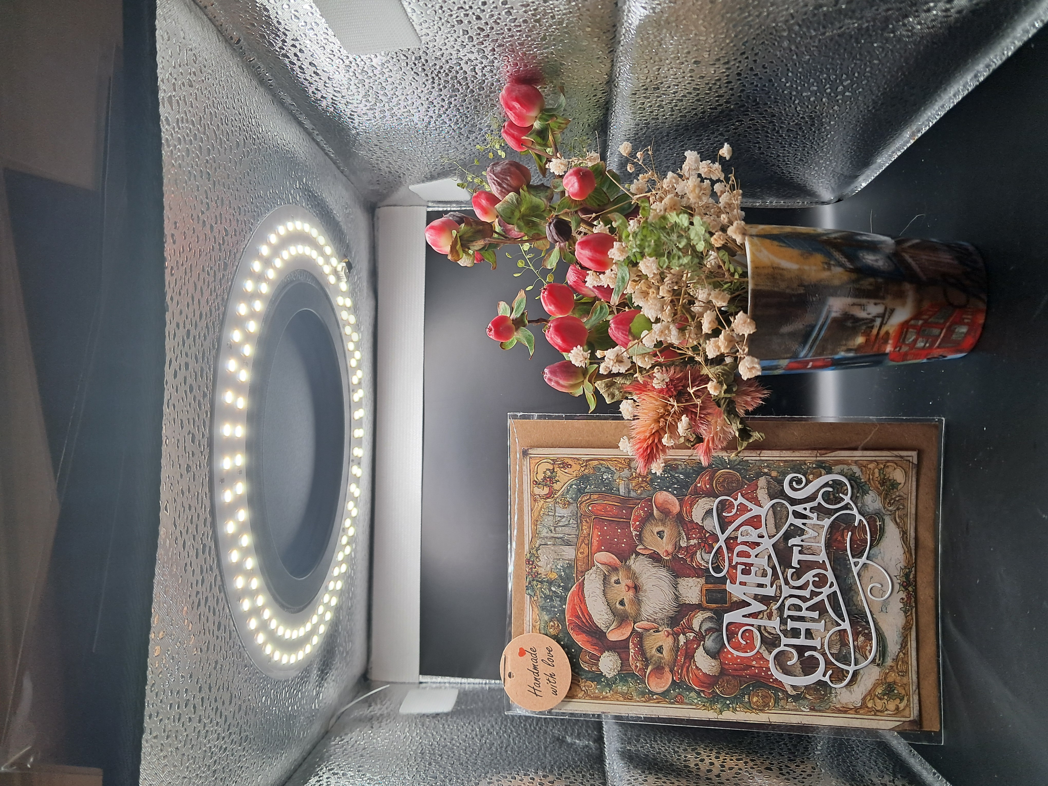 Souriceaux et Papa Noël