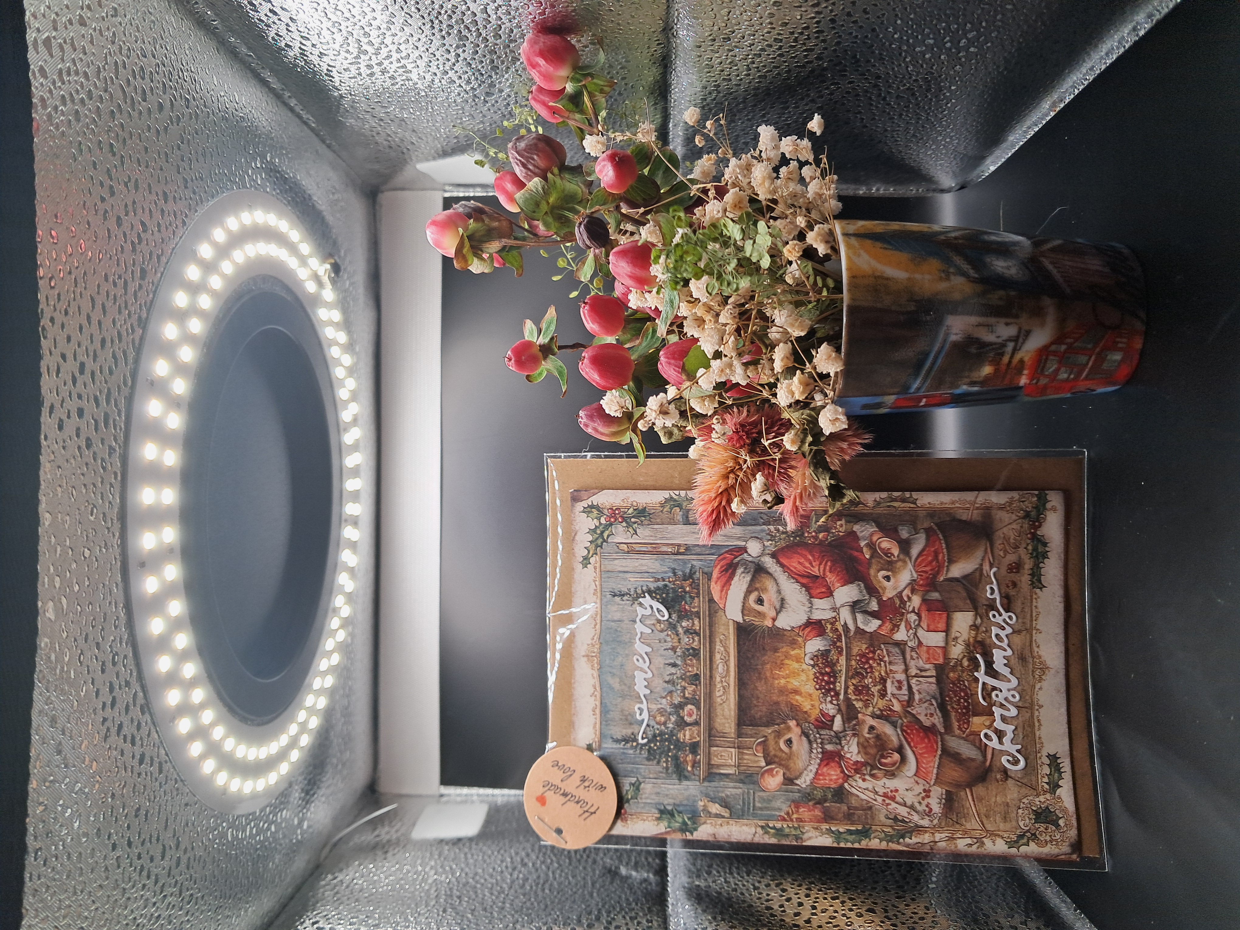 Festin des souriceaux