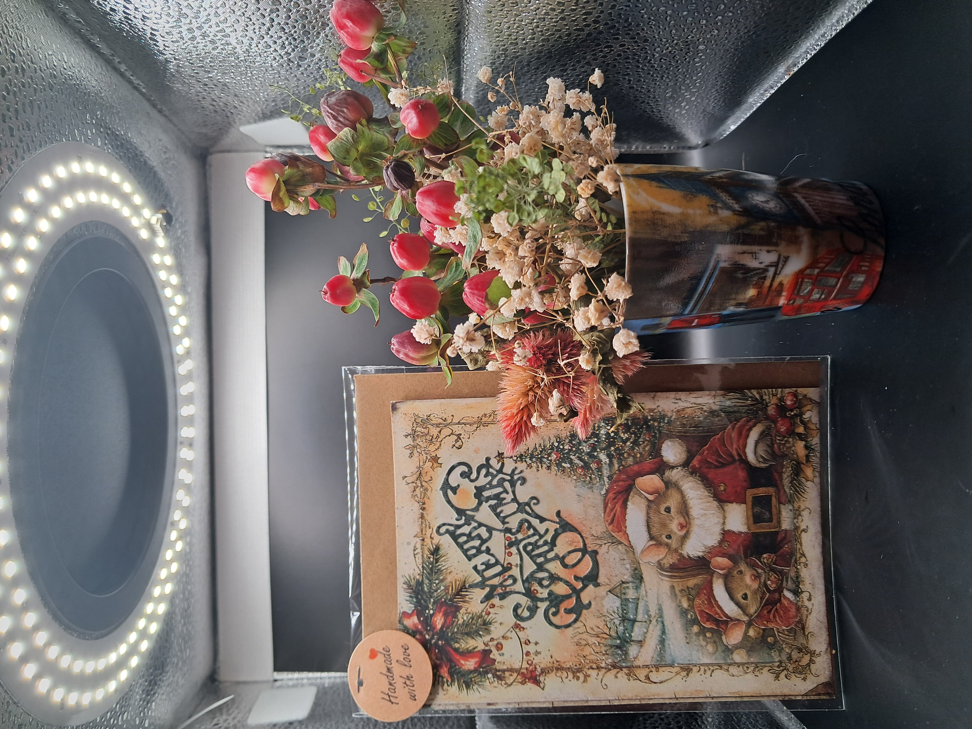 Souriceau avec Papa Noël