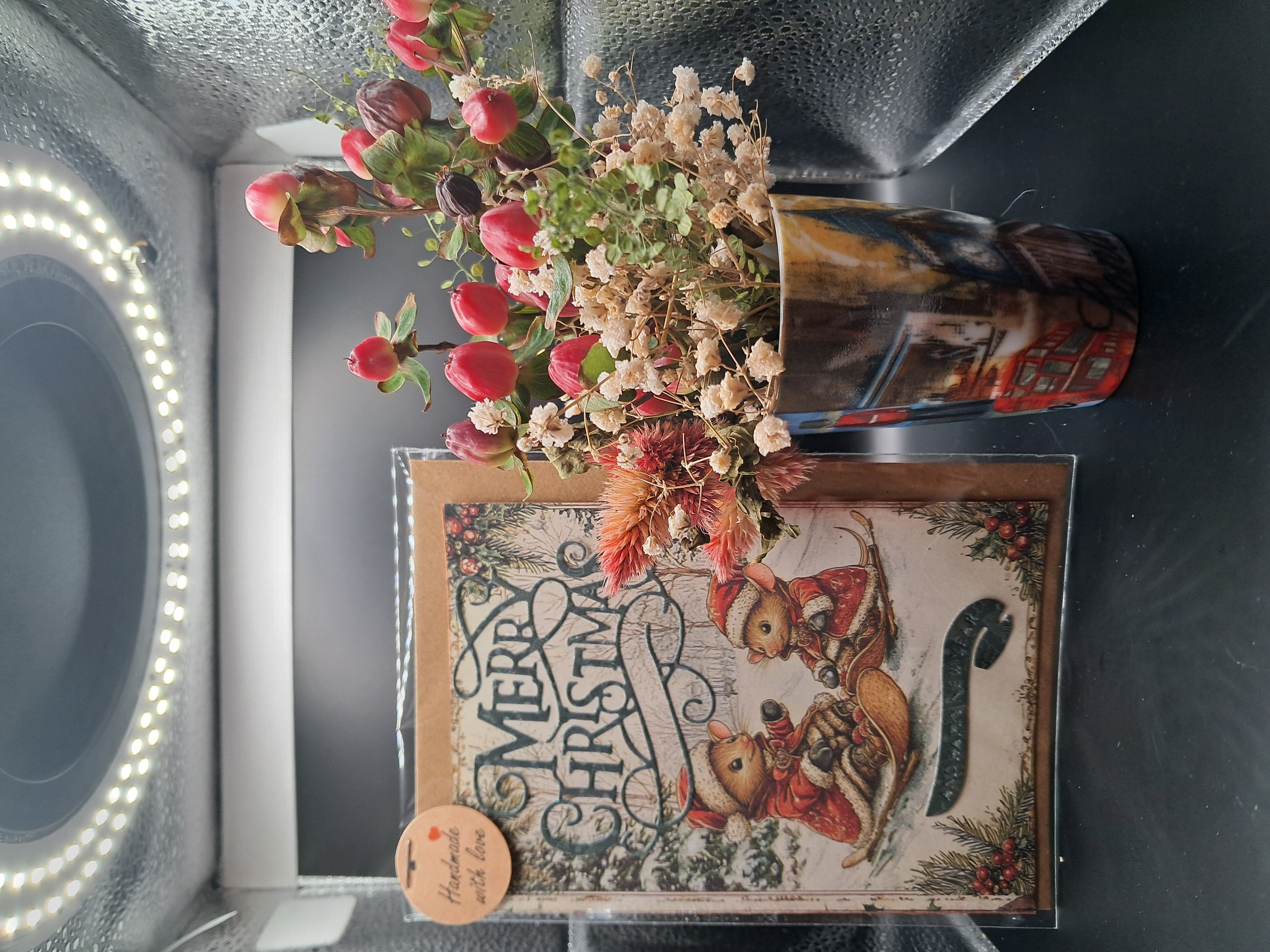 Souriceaux qui font la luge