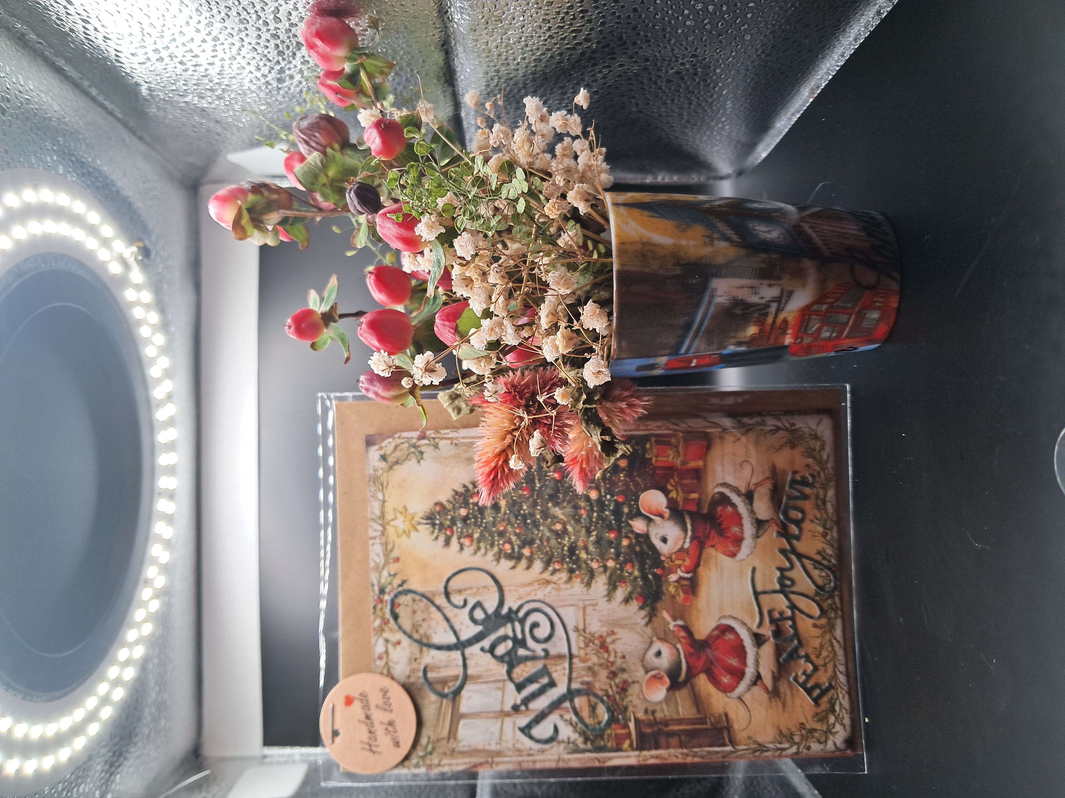 La danse des Souricettes